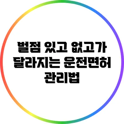 벌점 있고 없고가 달라지는 운전면허 관리법