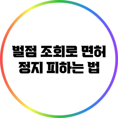 벌점 조회로 면허 정지 피하는 법