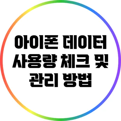 아이폰 데이터 사용량 체크 및 관리 방법