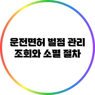 운전면허 벌점 관리: 조회와 소멸 절차