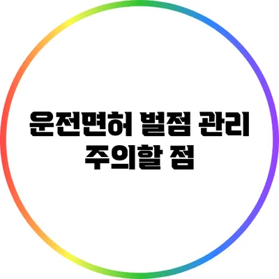 운전면허 벌점 관리 주의할 점