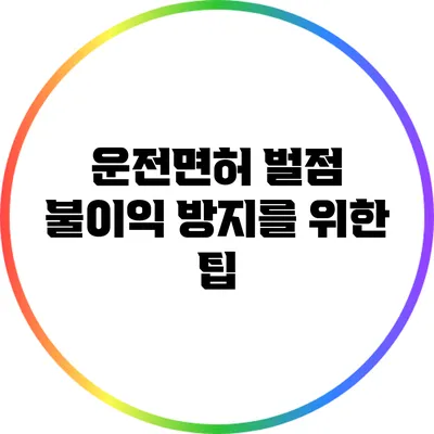 운전면허 벌점 불이익 방지를 위한 팁