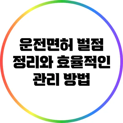 운전면허 벌점 정리와 효율적인 관리 방법