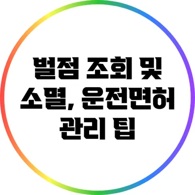 벌점 조회 및 소멸, 운전면허 관리 팁