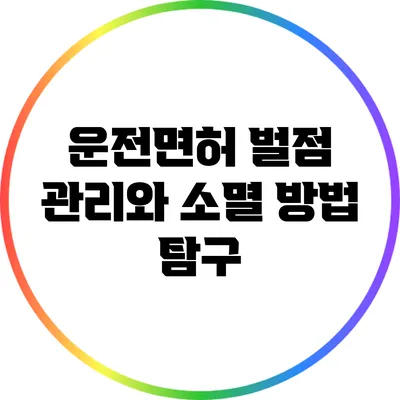 운전면허 벌점 관리와 소멸 방법 탐구