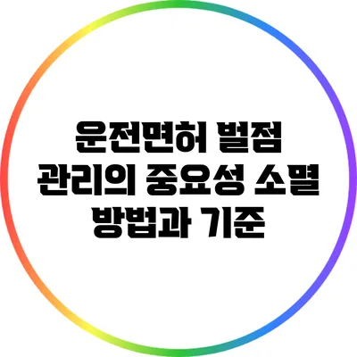 운전면허 벌점 관리의 중요성: 소멸 방법과 기준