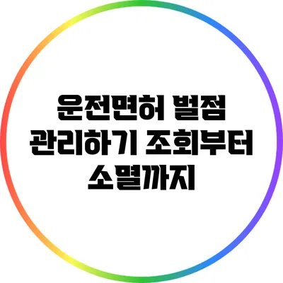 운전면허 벌점 관리하기: 조회부터 소멸까지