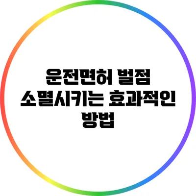 운전면허 벌점 소멸시키는 효과적인 방법