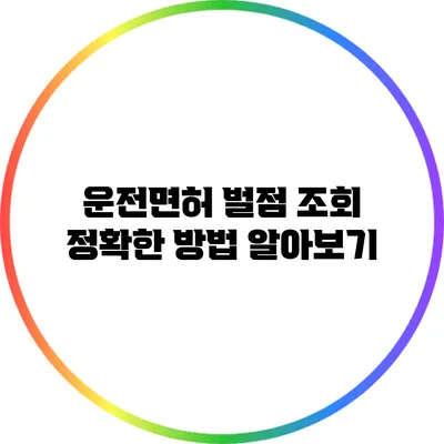운전면허 벌점 조회: 정확한 방법 알아보기