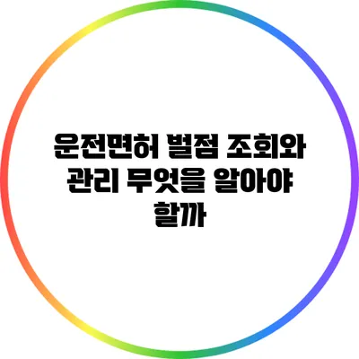 운전면허 벌점 조회와 관리: 무엇을 알아야 할까?