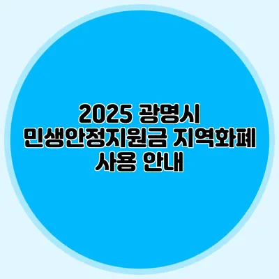 2025 광명시 민생안정지원금 지역화폐 사용 안내