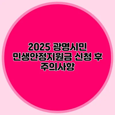 2025 광명시민 민생안정지원금 신청 후 주의사항