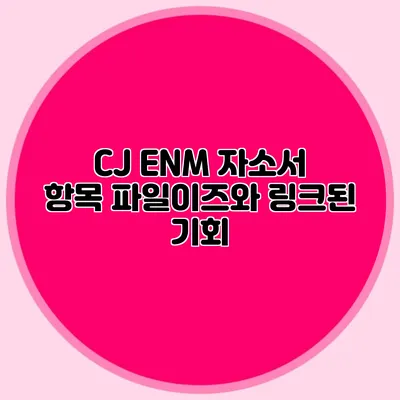 CJ ENM 자소서 항목 파일이즈와 링크된 기회