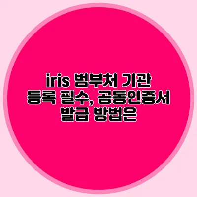 iris 범부처 기관 등록 필수, 공동인증서 발급 방법은?