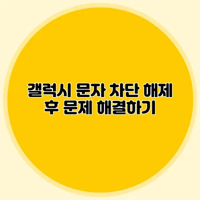 갤럭시 문자 차단 해제 후 문제 해결하기