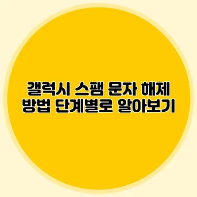 갤럭시 스팸 문자 해제 방법 단계별로 알아보기