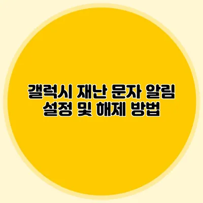 갤럭시 재난 문자 알림 설정 및 해제 방법