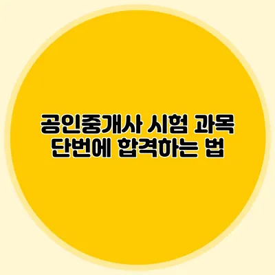 공인중개사 시험 과목 단번에 합격하는 법