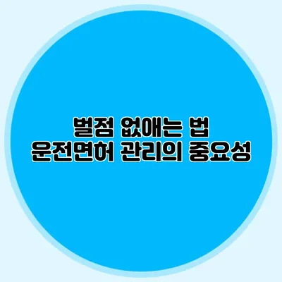 벌점 없애는 법 운전면허 관리의 중요성