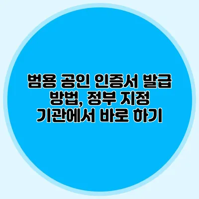 범용 공인 인증서 발급 방법, 정부 지정 기관에서 바로 하기