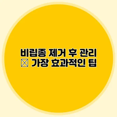 비립종 제거 후 관리 – 가장 효과적인 팁