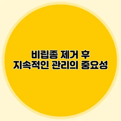 비립종 제거 후 지속적인 관리의 중요성