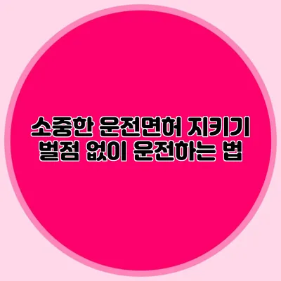소중한 운전면허 지키기 벌점 없이 운전하는 법