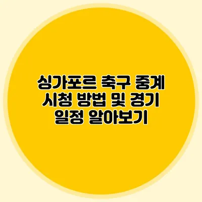 싱가포르 축구 중계 시청 방법 및 경기 일정 알아보기