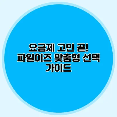 요금제 고민 끝! 파일이즈 맞춤형 선택 가이드