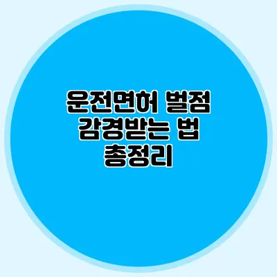 운전면허 벌점 감경받는 법 총정리