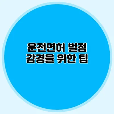 운전면허 벌점 감경을 위한 팁