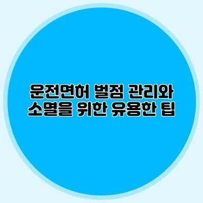 운전면허 벌점 관리와 소멸을 위한 유용한 팁