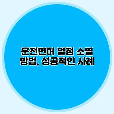 운전면허 벌점 소멸 방법, 성공적인 사례