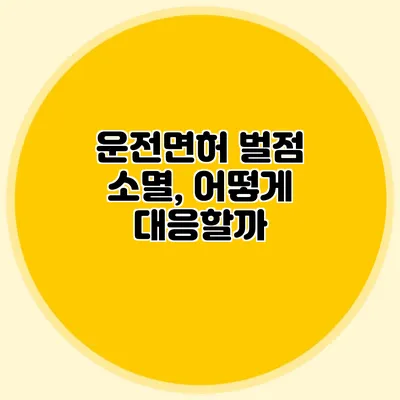 운전면허 벌점 소멸, 어떻게 대응할까?