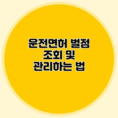 운전면허 벌점 조회 및 관리하는 법