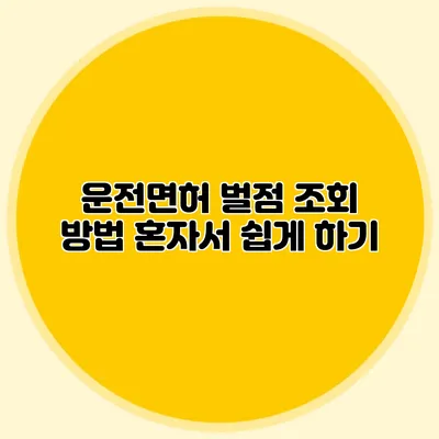 운전면허 벌점 조회 방법 혼자서 쉽게 하기