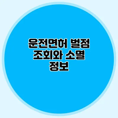 운전면허 벌점 조회와 소멸 정보