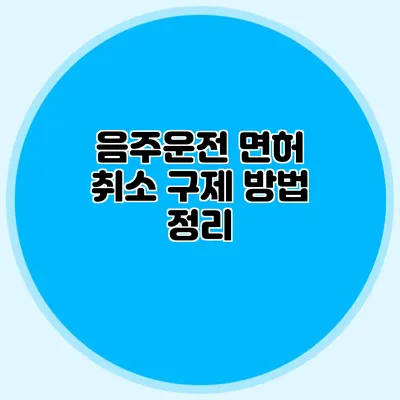음주운전 면허 취소 구제 방법 정리