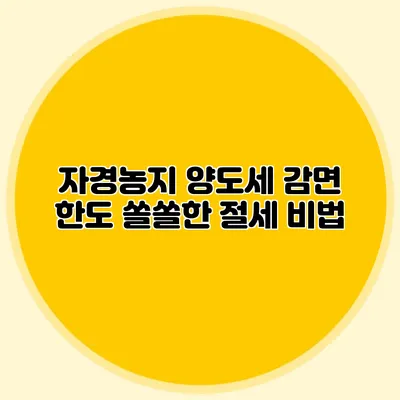 자경농지 양도세 감면 한도 쏠쏠한 절세 비법