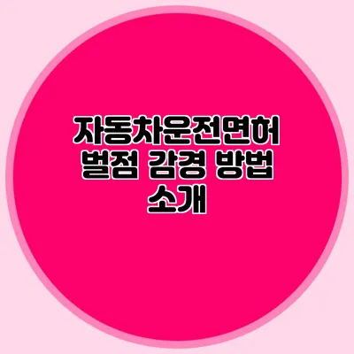 자동차운전면허 벌점 감경 방법 소개