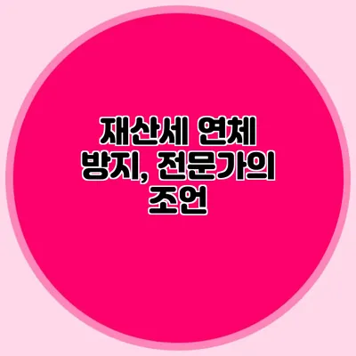재산세 연체 방지, 전문가의 조언