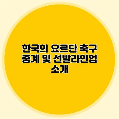 한국의 요르단 축구 중계 및 선발라인업 소개