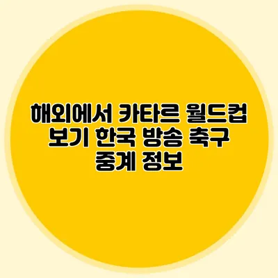 해외에서 카타르 월드컵 보기 한국 방송 축구 중계 정보