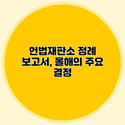 헌법재판소 정례 보고서, 올해의 주요 결정