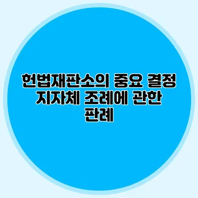 헌법재판소의 중요 결정 지자체 조례에 관한 판례