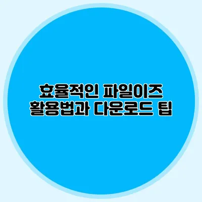 효율적인 파일이즈 활용법과 다운로드 팁