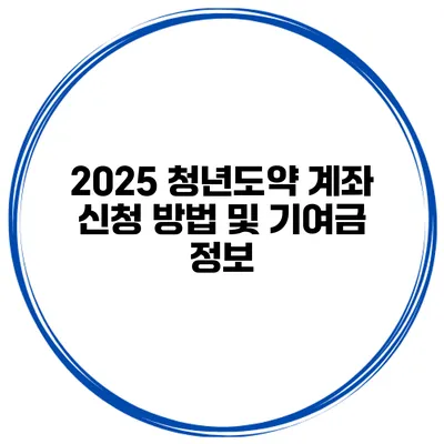 2025 청년도약 계좌 신청 방법 및 기여금 정보