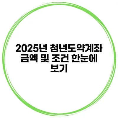 2025년 청년도약계좌 금액 및 조건 한눈에 보기