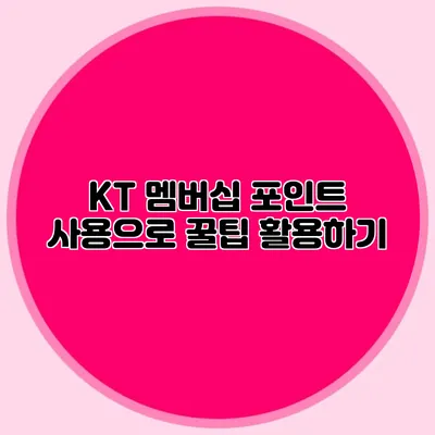 KT 멤버십 포인트 사용으로 꿀팁 활용하기