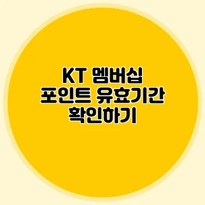 KT 멤버십 포인트 유효기간 확인하기
